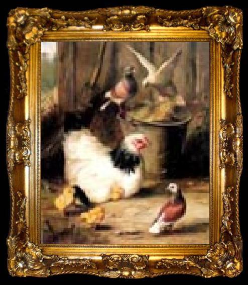 framed  unknow artist Hen chicken and pigeon, ta009-2